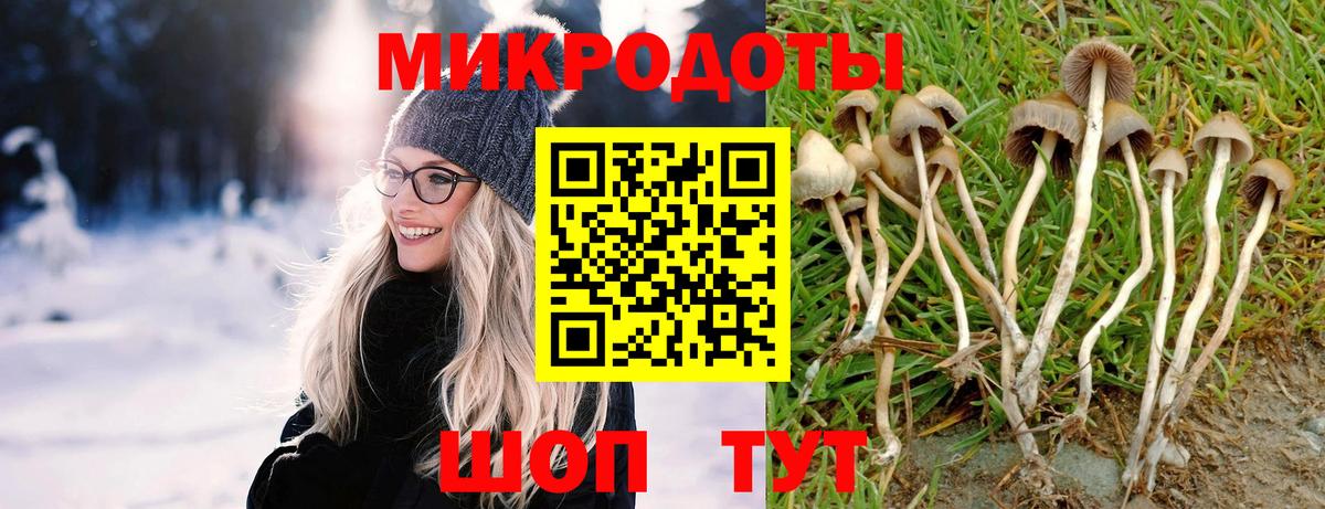 Приморско-Ахтарск  Галлюциногенные грибы Magic Shrooms  Вход с VPN 