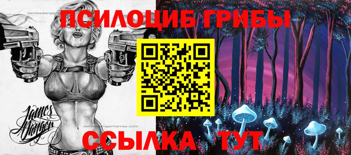 Псилоцибиновые грибы прущие грибы Приморско-Ахтарск